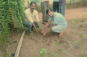 Planting Tree Drive