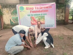 Planting Tree Drive